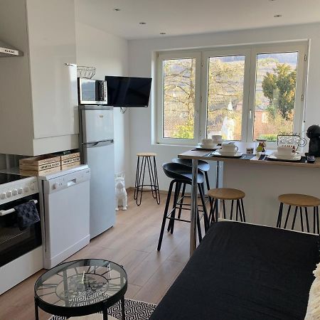 Apartamento Le Cocon Guebwiller Exterior foto