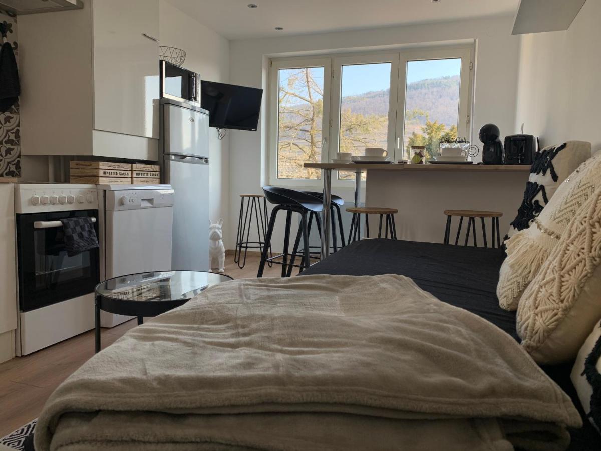 Apartamento Le Cocon Guebwiller Exterior foto